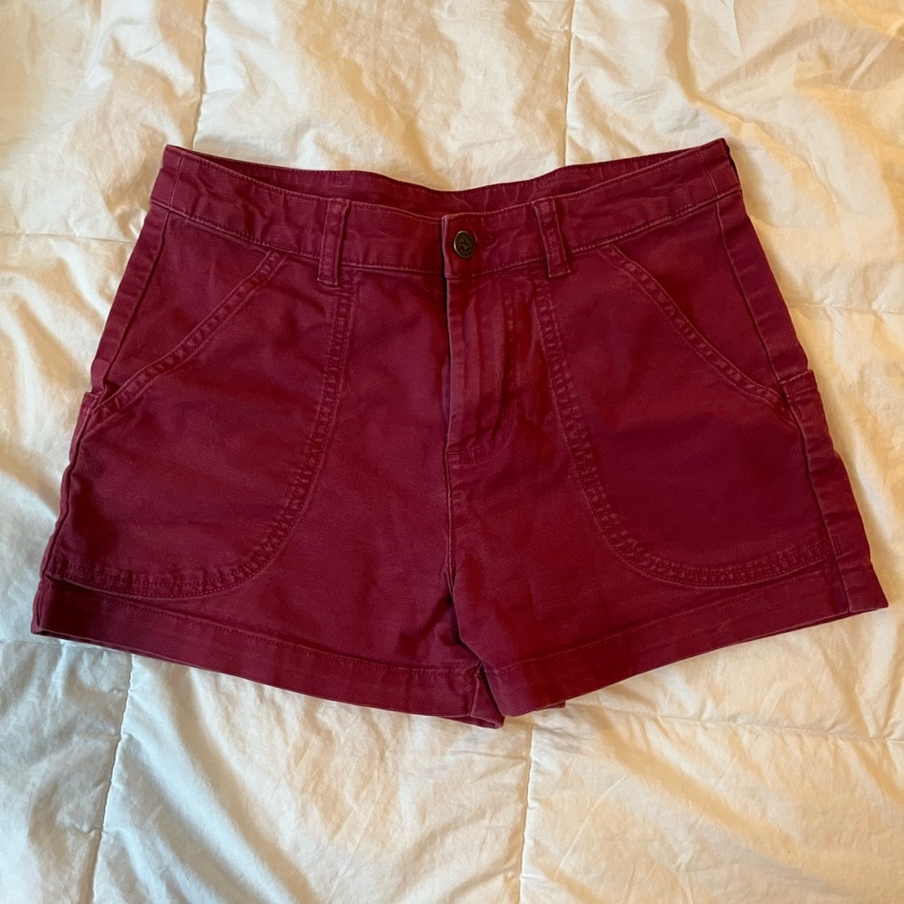 Patagonia raspberry colored shorts.